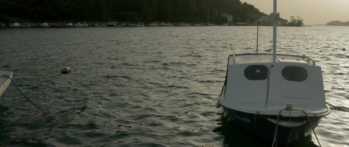 A boat is tied along the shore