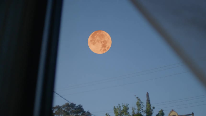 View of the full moon above trees from a window
