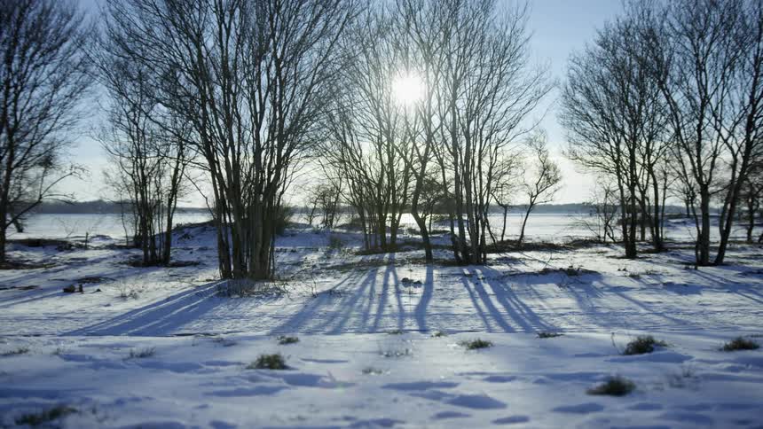 Snow covered land around a lake with trees casting shadows on a sunny day