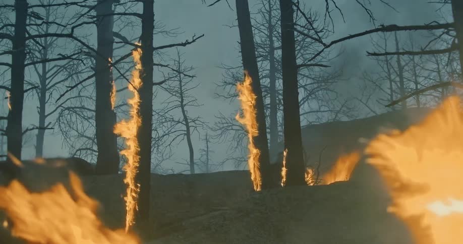 Man riding a bike over slopes and hills through a forest that is on fire in the evening
