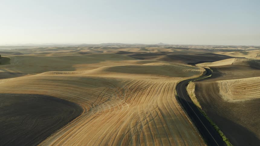 A empty road winds along rolling hills and farmland as the sun starts to rise