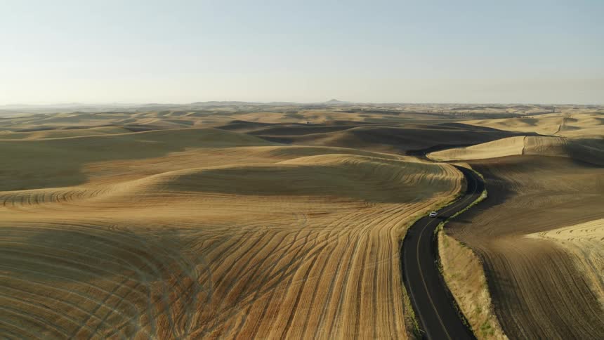 A white pickup trucks drives along a winding road through beautiful golden farmland