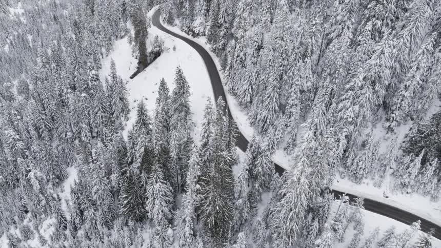 Cars travel on a narrow mountain road through a snow covered forest