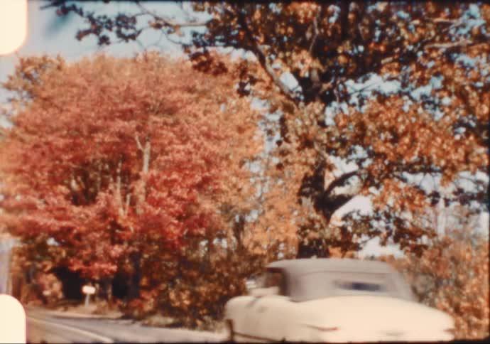 A view of trees with the leaves changing colors