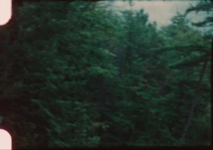 View of a large area of land covered with trees and plants