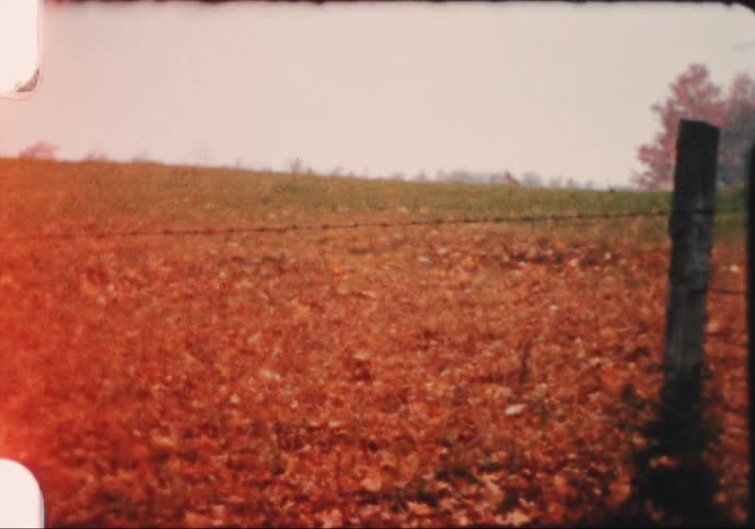 Mist covers farmhouse and barbed wire fence bordered by fallen leaves