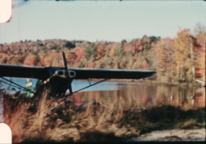 Hydroplane docked on the coast of a lake in the forest