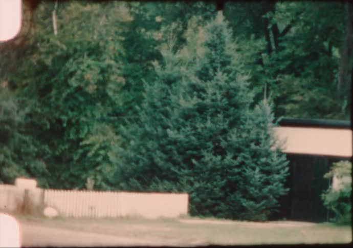 Lush green trees surround a covered bridge and dirt road near a bar