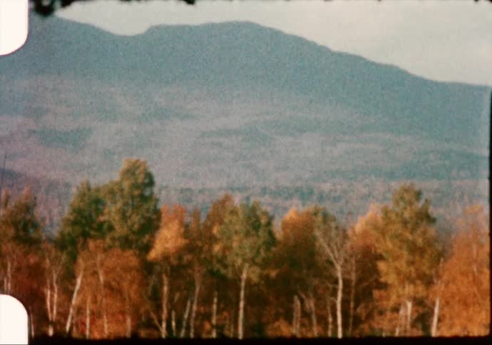 Autumn colored trees with mountains in the background