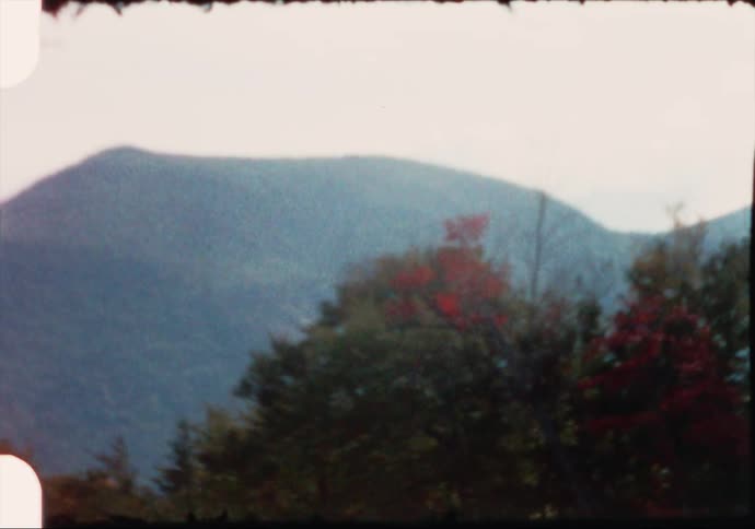 A view of trees and some hills