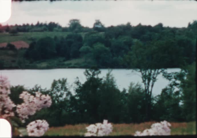 A river surrounded by trees with a grassy field houses the sky and clouds in the background