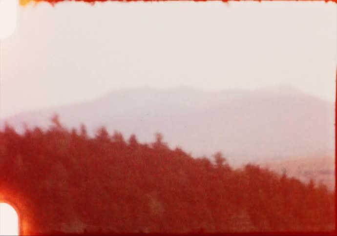 Trees with fall foliage contrast with evergreens on mountains on foggy day