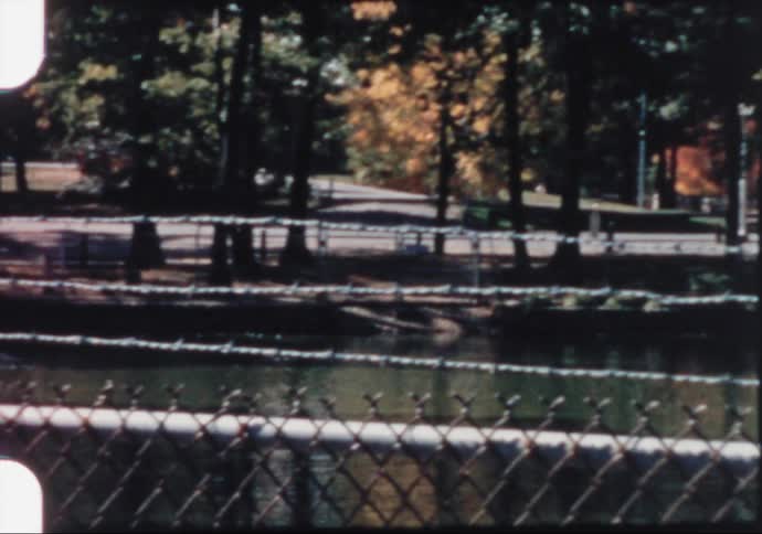 A fence in the foreground with a pond with ducks with trees and streets with vehicles in the background