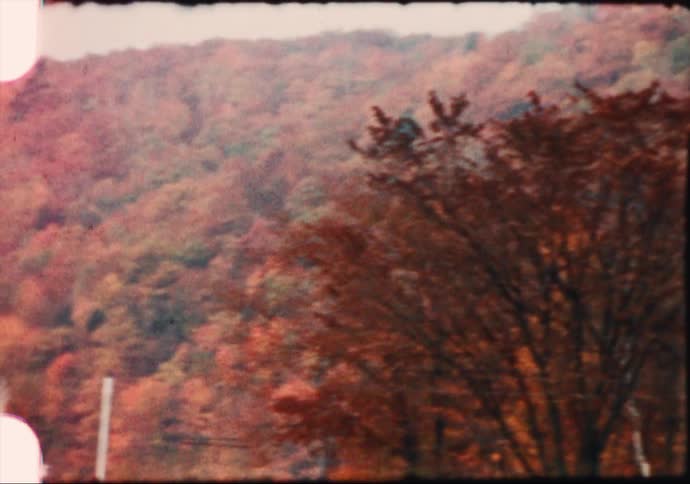 Trees with red leaves with hills the sky and clouds in the background