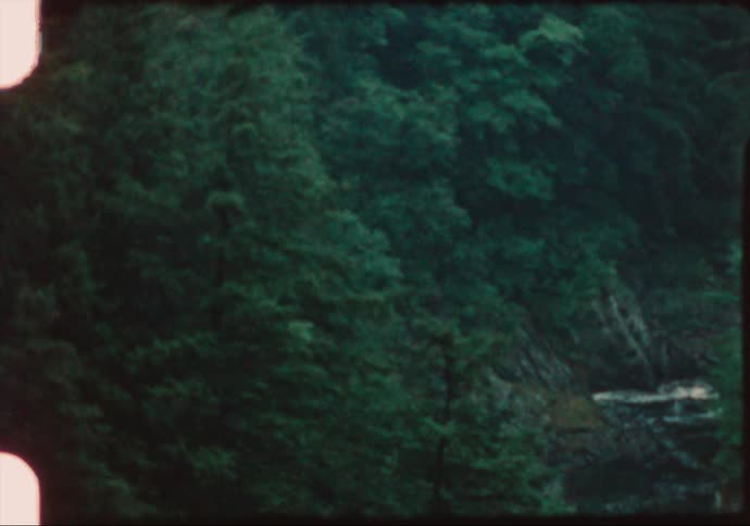 A dense forest parted by a ravine during the day