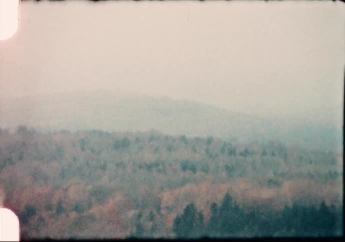 Some trees in a forest have started to turn orange in a sea of green