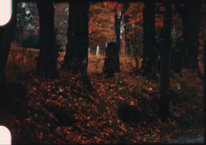 Vintage fall colors frame a lonely country