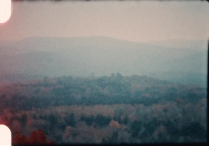 A forest in autumn near the mist covered mountains caught on vintage film