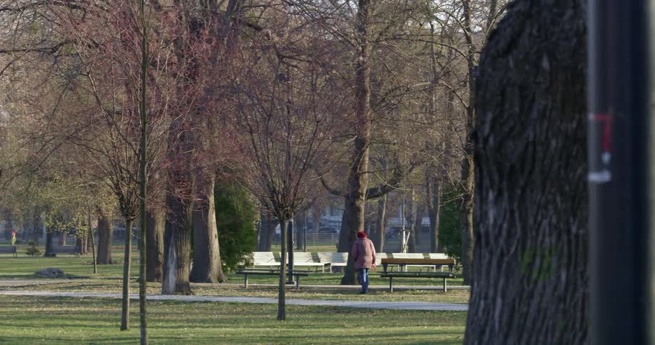 A woman walk in the park with her dog