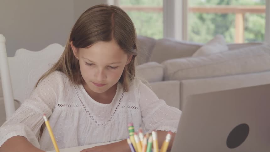 Girl takes notes sitting at home attending classes online