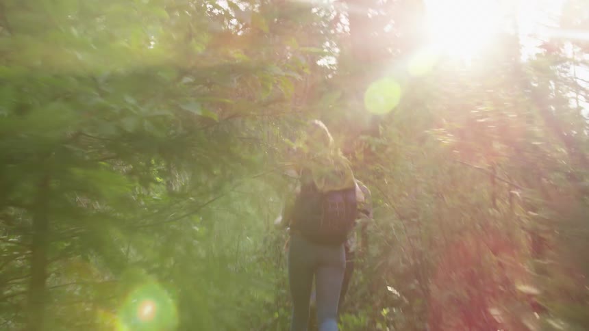 Two people run along trail through forest on sunny day