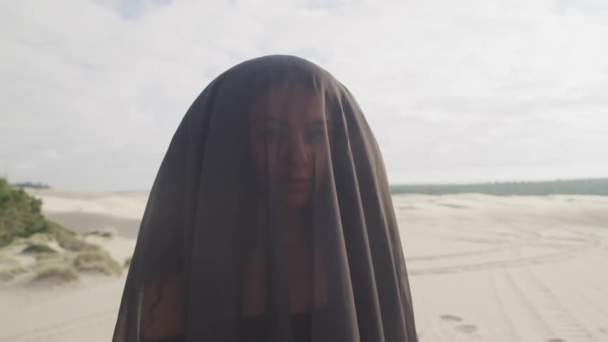 A woman with a veil standing on a beach with the ocean the sky and clouds in the background