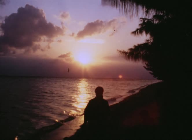 A woman is walking on the beach at sunset