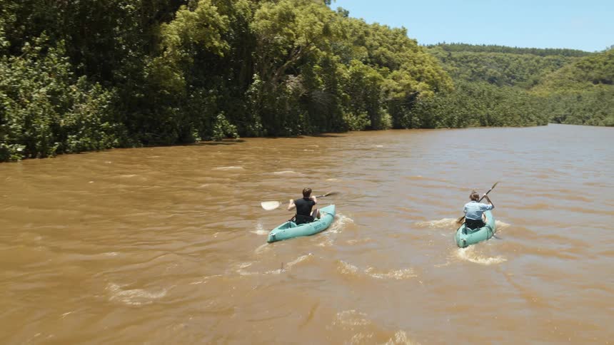 Two people are kayaking up a river on a sunny day