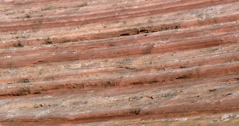 Rock layers are evident in sandstone