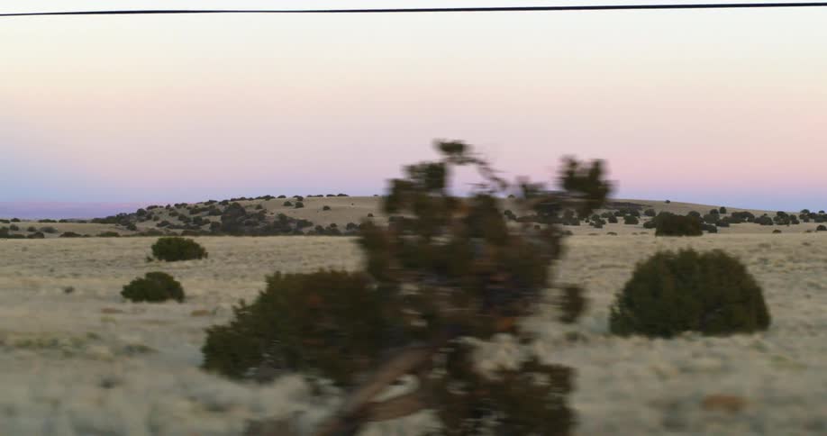 Shrubs and grass cover a rural landscape at sunrise