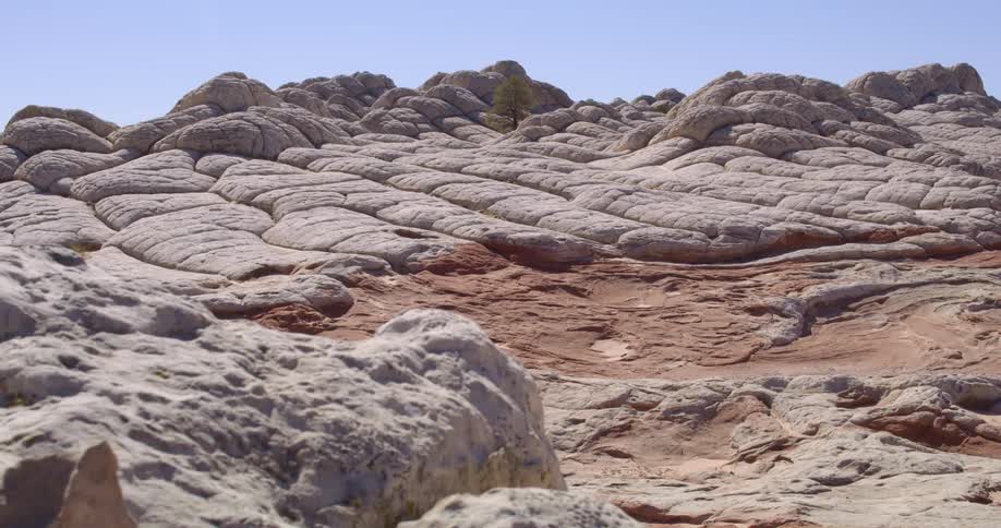 Birds fly over a large bed or rocks