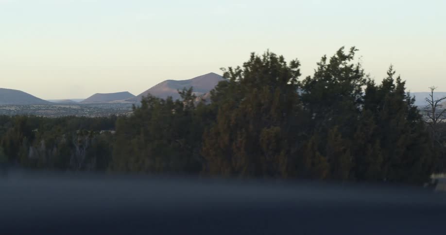 A shot of a forest with hills in the background