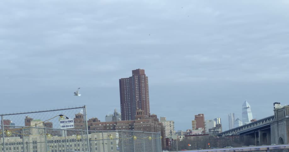 A large white bird flies through an urban neighborhood