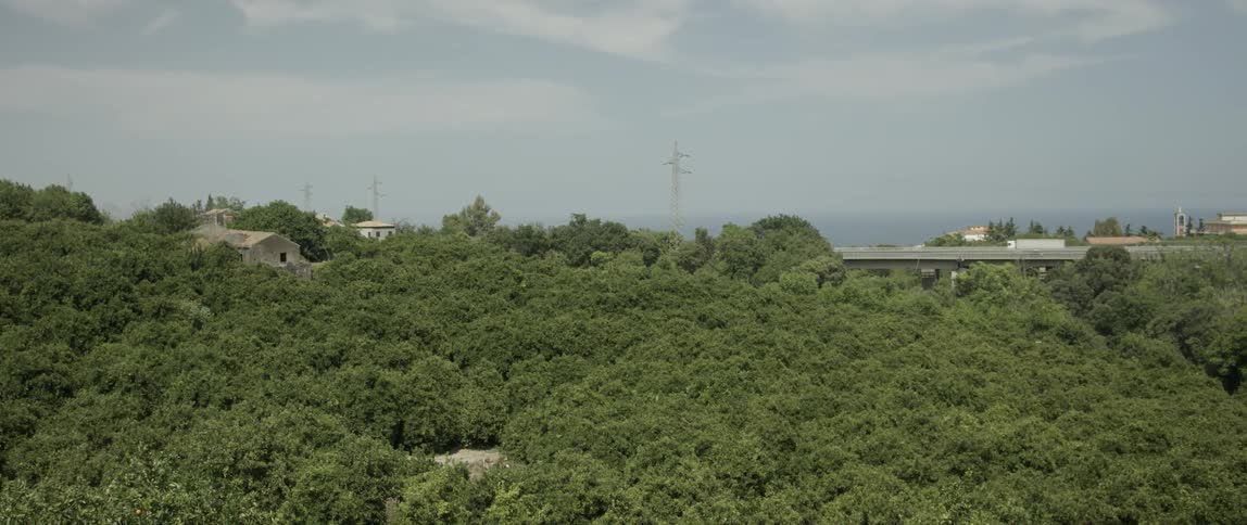 Trees cover the foreground with a road and vehicles in the background