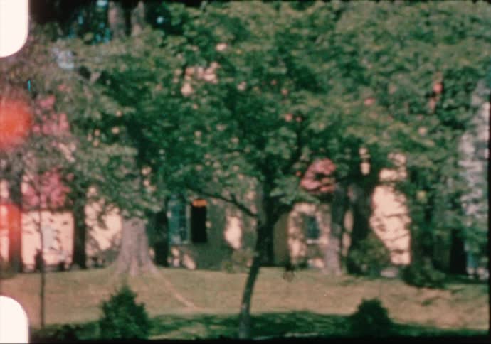 People walking down a sidewalk and standing in a yard in a neighborhood