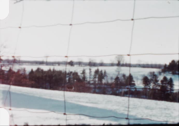 A fence in the foreground with deer a house trees the sky and clouds in the background