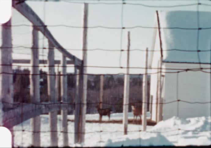 A fence in the foreground with deer a house trees the sky and clouds in the background