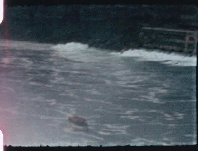 Vacation footage of a waterfall falling into a river caught on vintage film