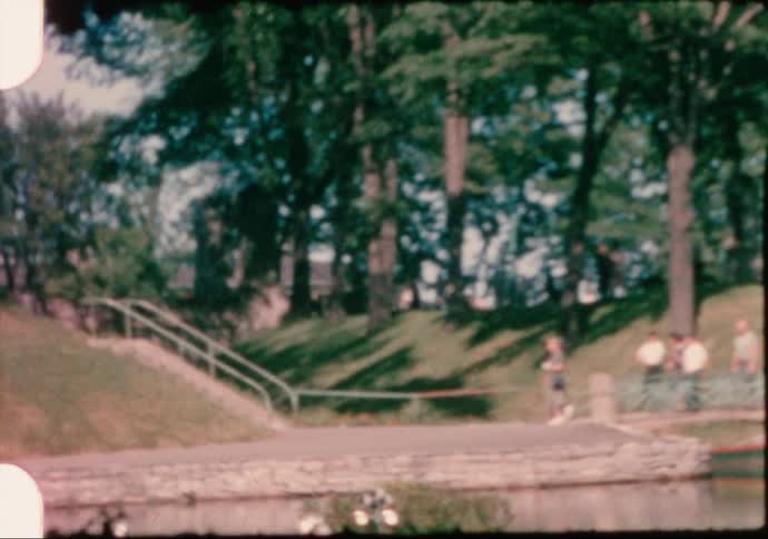 People walk around park near water and large flower covered tree