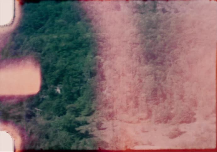 A view of a hill with trees on it