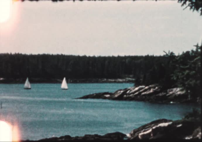 Two boats with white sails sail in a lake near a forest of dense trees