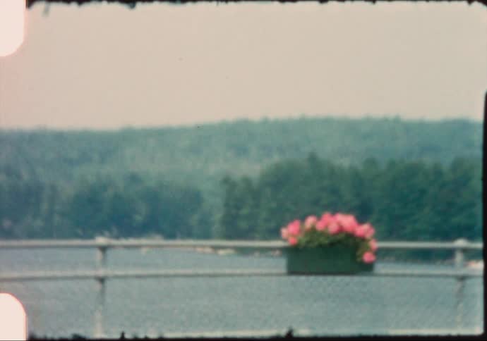 Speed boat parallels forest covered shore across from flower box decorated chain link fence