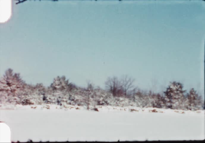 A view of snow and trees in a forest