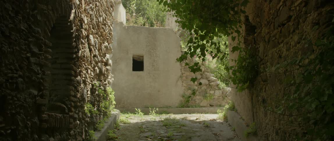 Stone buildings in the shadows with ivy hanging down