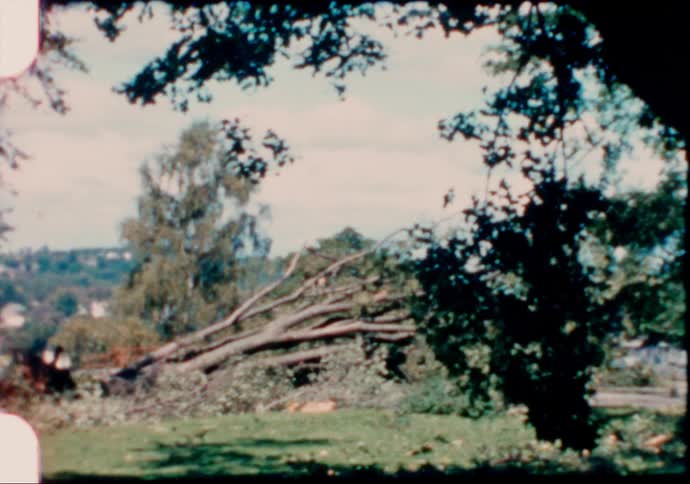 Fallen trees and flowers line the backyard of a home that sits on slope overlooking a neighborhood in the distance