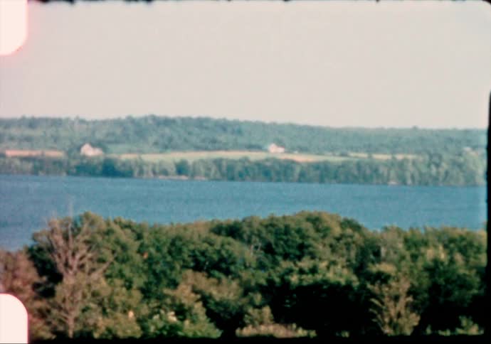 A large lake is surrounded by dense trees in a forest