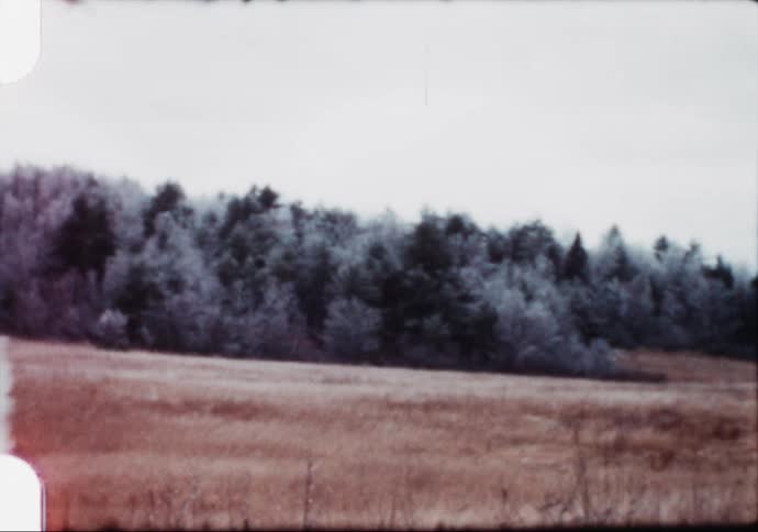 An icy rural scene in winter
