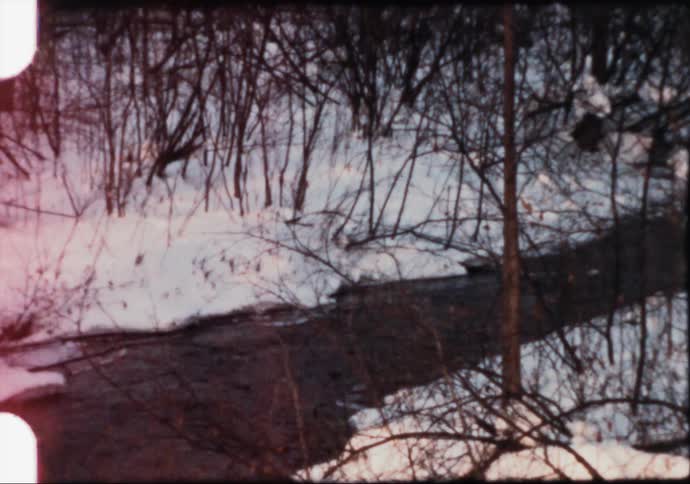 A river flowing through a snowy forest