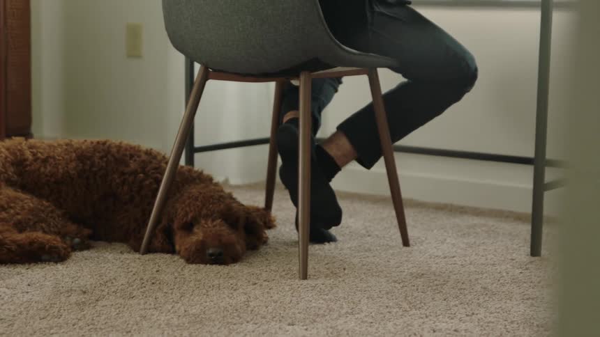 Dog resting under a man working on a laptop from his home office