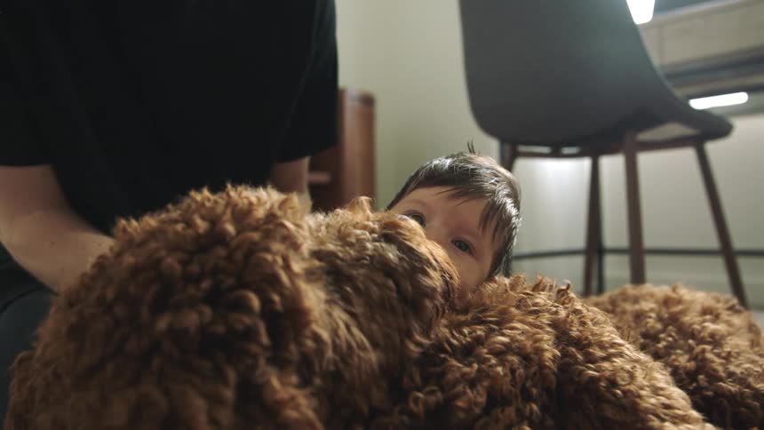A father and daughter playing with a dog